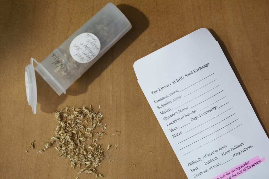 Seed Exchange Birmingham Botanical Gardens