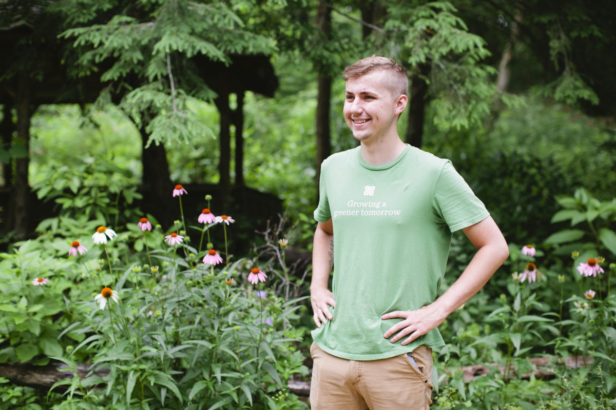 Trent in the wildflower garden