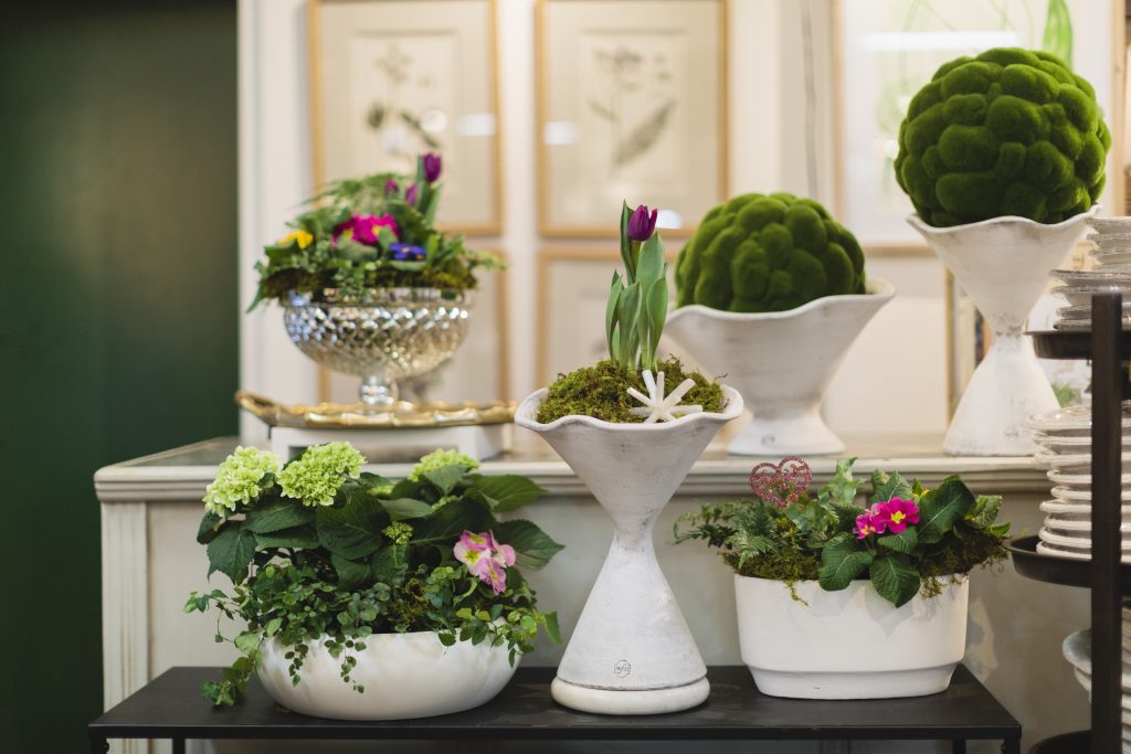 Leaf & Petal at the Gardens Birmingham Botanical Gardens