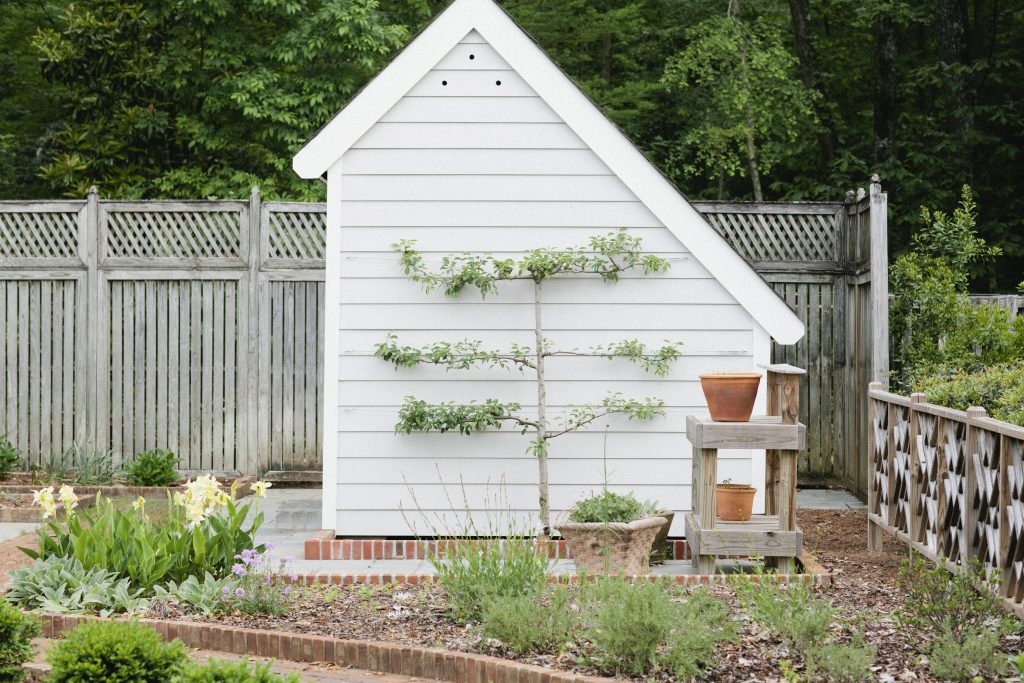 Thompson Enthusiast's Garden Birmingham Botanical Gardens