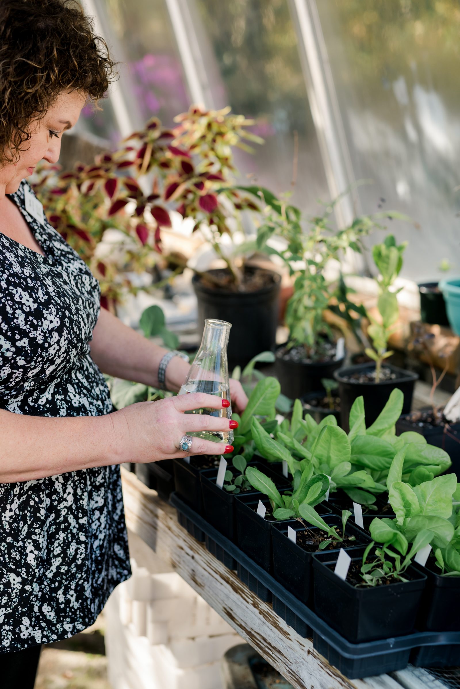 Sprouting hope: Mountain Rose Herbs launches seed stewardship