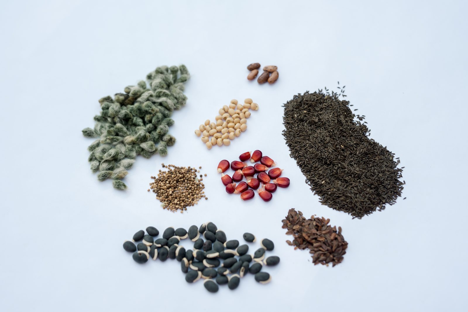 programs-events-birmingham-botanical-gardens