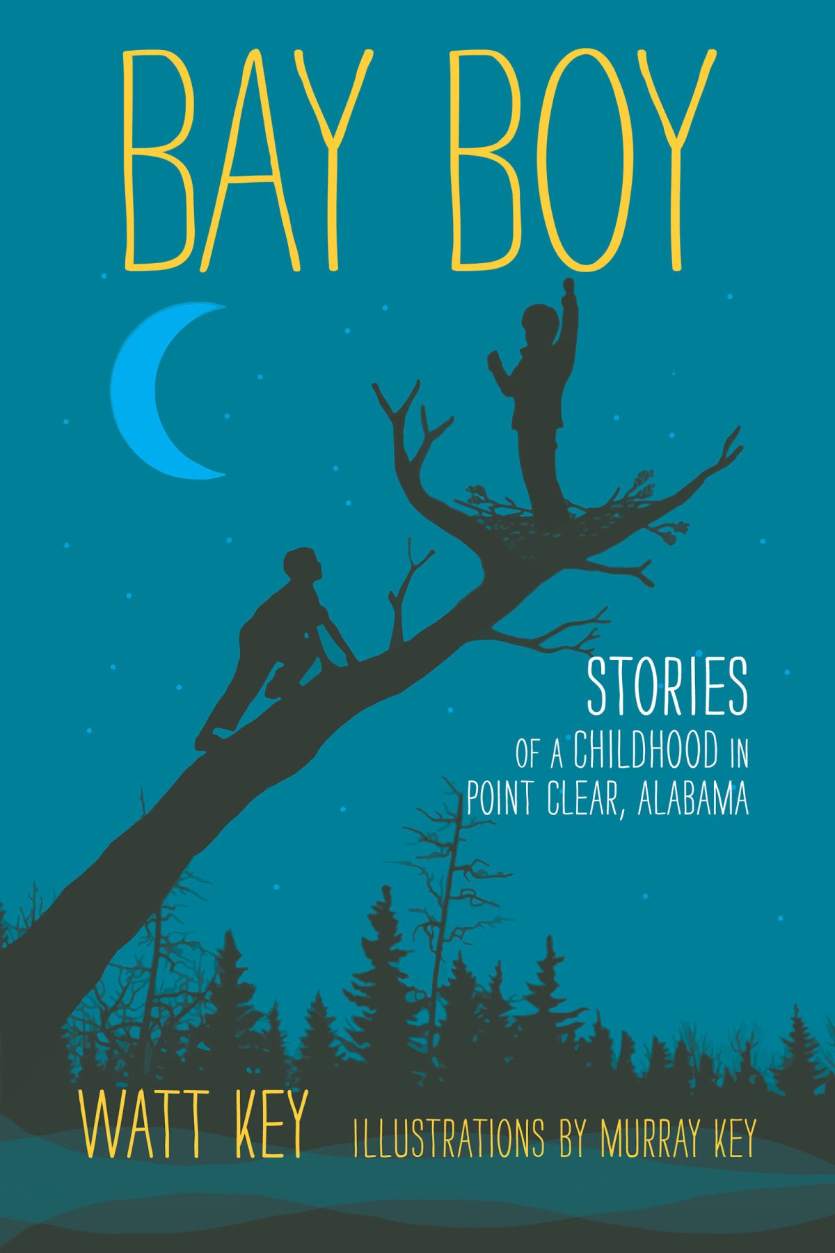 Bay Boy: Stories of a Childhood in Point Clear Alabama - Birmingham