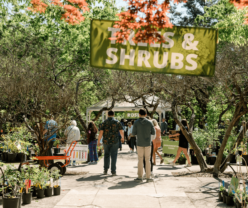 Sneak Peek: Trees and Shrubs Available at This Week’s Fall Plant Sale ...