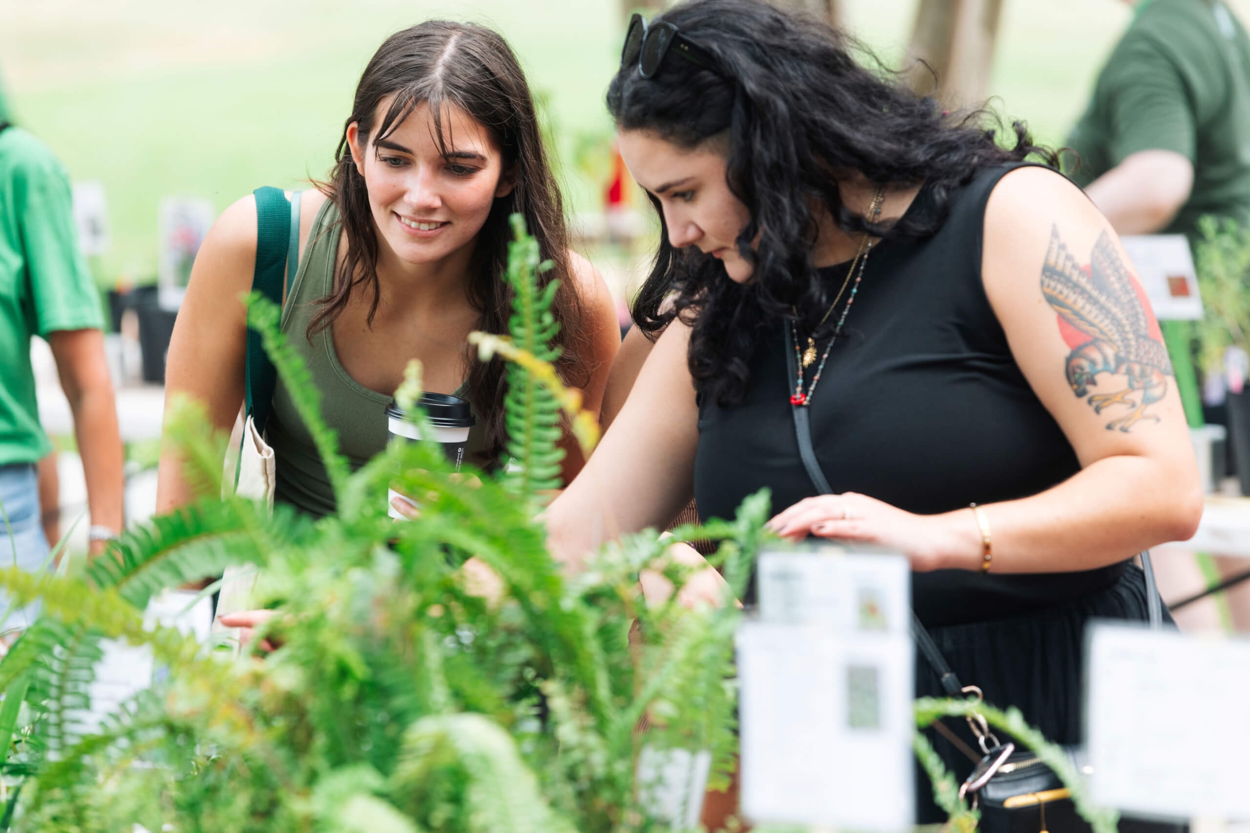 Fall Plant Sale at Birmingham Botanical Gardens