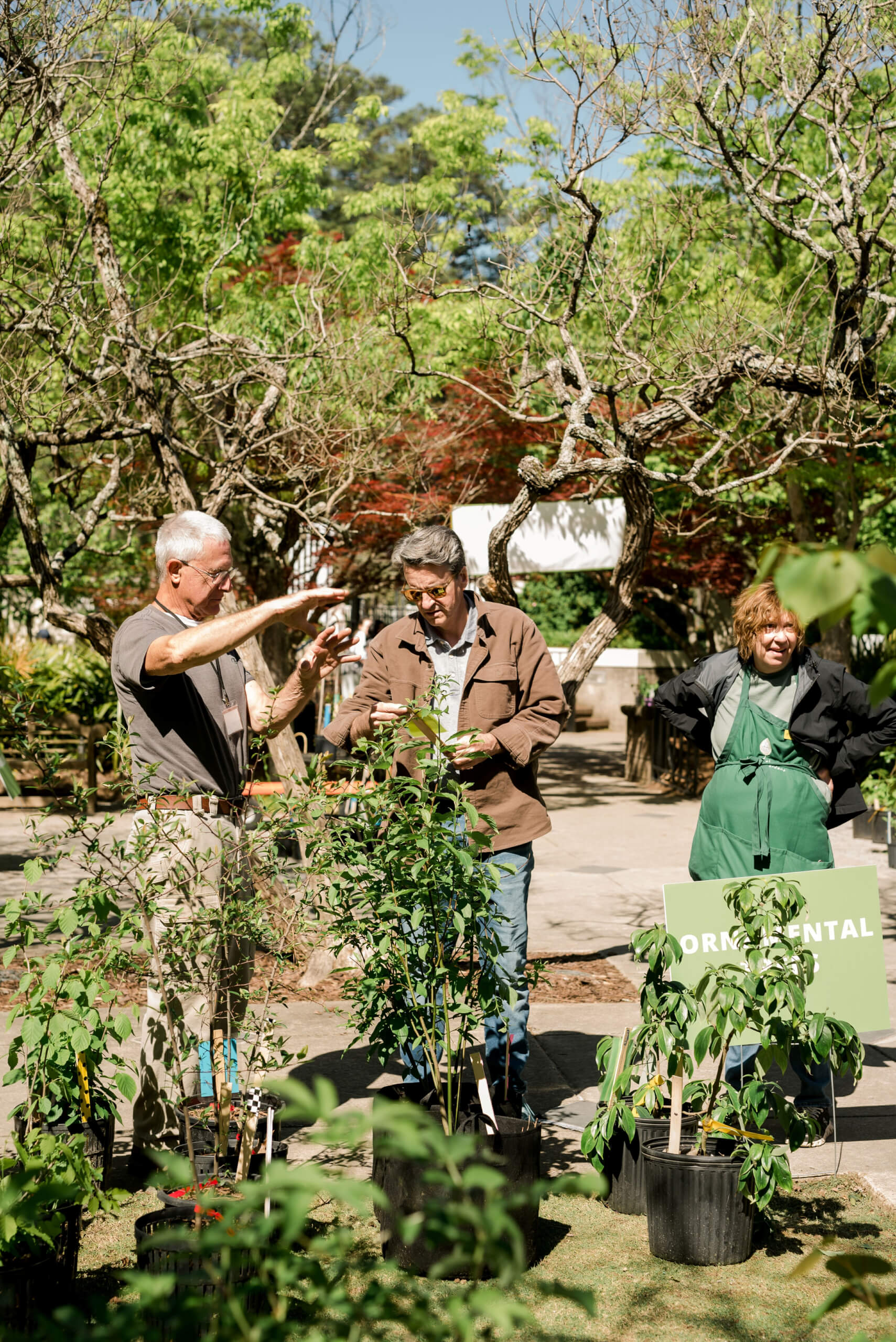 Landscape Foundations: Selecting and Siting Trees and Shrubs at Birmingham Botanical Gardens