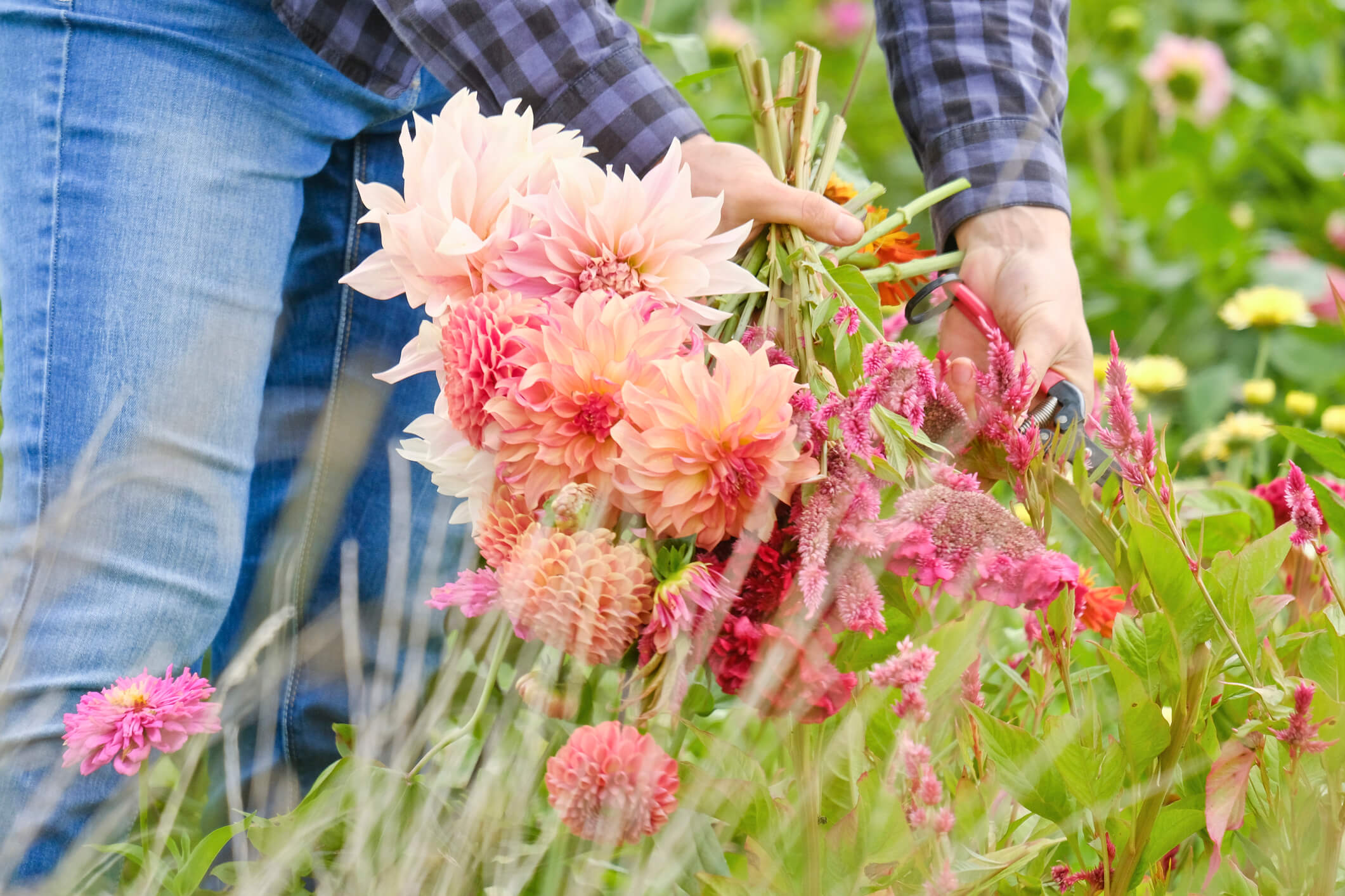 Cut Flower Arranging at Birmingham Botanical Gardens