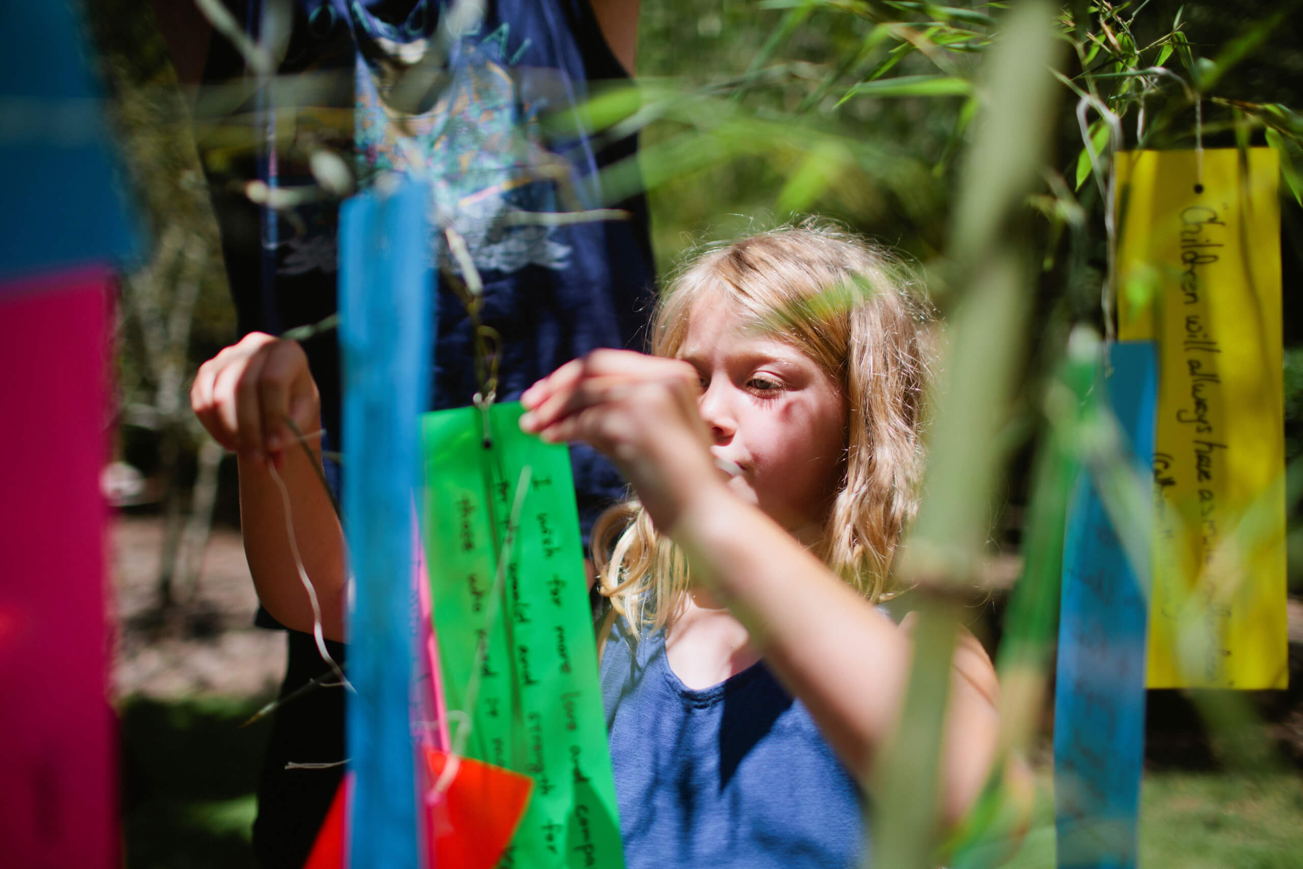 Tanabata Festival at Birmingham Botanical Gardens