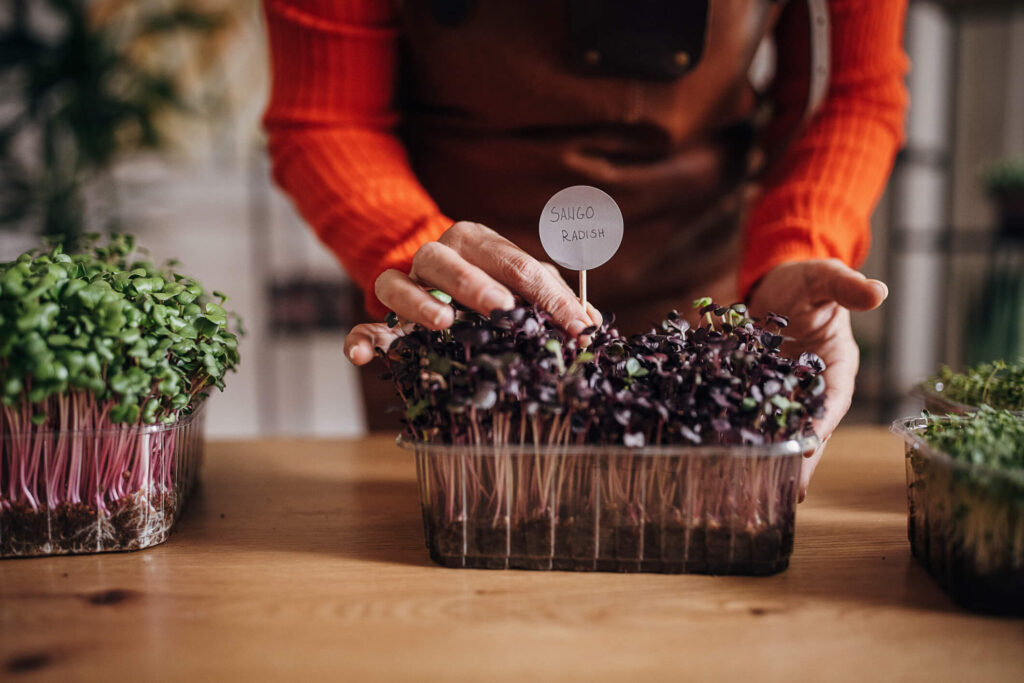 Women's hands putting down plant label into potted plant.
