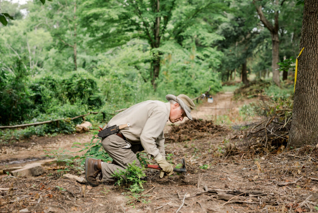 Man kneeling over clay terrain removing roots of invasive plants.