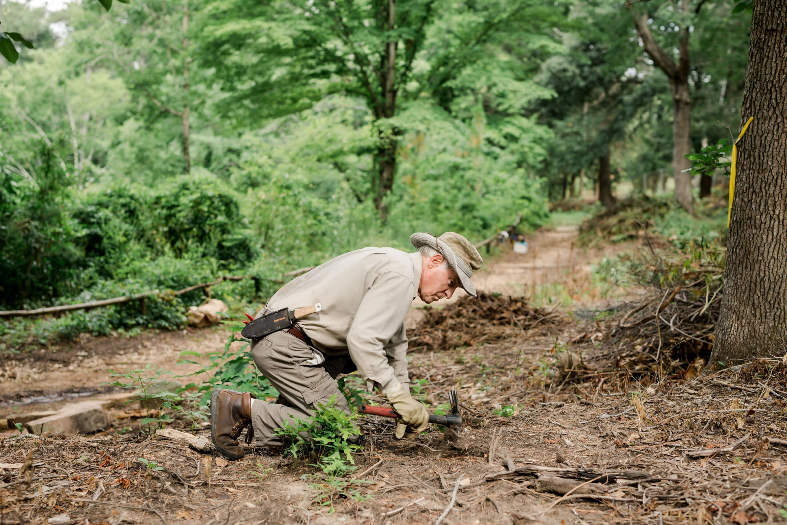 Man kneeling over clay terrain removing roots of invasive plants.